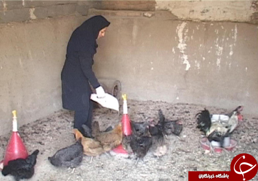 زنان کارآفرین در روستای سراب داراب / اشتعغال زایی برای ۶۰ نفر از بانوان روستا