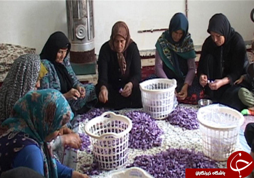 زنان کارآفرین در روستای سراب داراب / اشتعغال زایی برای ۶۰ نفر از بانوان روستا