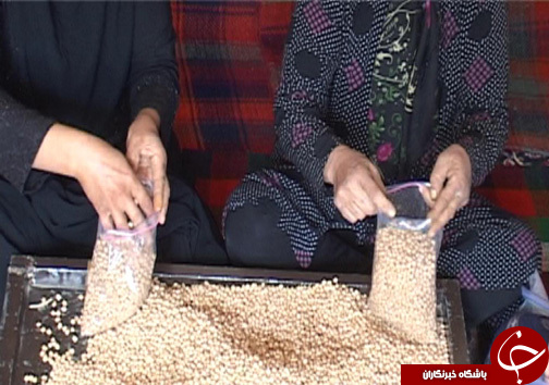 زنان کارآفرین در روستای سراب داراب / اشتعغال زایی برای ۶۰ نفر از بانوان روستا