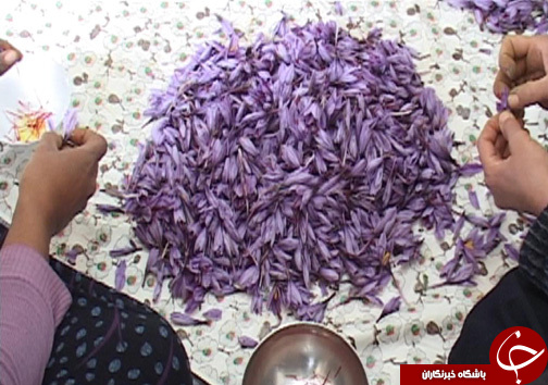 زنان کارآفرین در روستای سراب داراب / اشتعغال زایی برای ۶۰ نفر از بانوان روستا