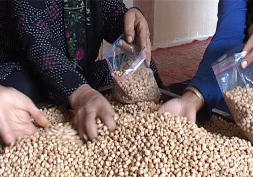 زنان کارآفرین در روستای سراب داراب / اشتعغال زایی برای ۶۰ نفر از بانوان روستا