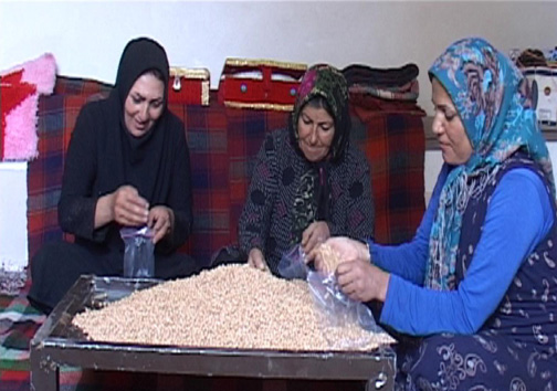 زنان کارآفرین در روستای سراب داراب / اشتعغال زایی برای ۶۰ نفر از بانوان روستا