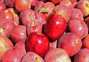 ۳۰هزارتن سیب آذربایجان غربی به خارج از کشور صادر شد