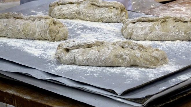 تهیه نان با آرد جیرجیرک در فنلاند!