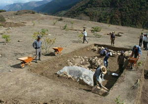 کاوش باستان شناسی ۱۶ گور از نوع حفره‌ای ساده در مازندران