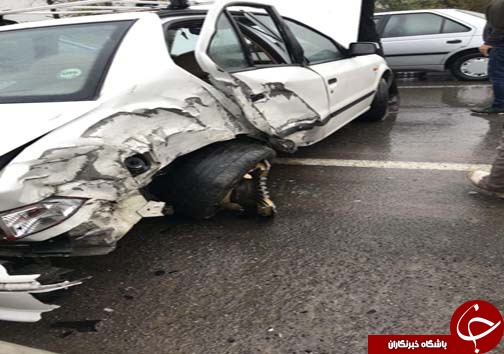 سانحه های&nbsp; رانندگی در جاده&zwnj;های لغزنده مازندران+تصاویر