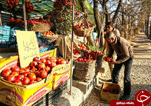 بدرقه پائیز در شب یلدا/برپایی جشن طولانی&zwnj;ترین شب سال در فارس