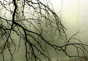 آسمان استان قزوین بارانی است