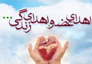 نجات دادن جان 440 نفر با اهدای عضو در کهگیلویه و بویراحمد