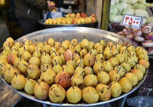 مهربانی به یلندای یلدا در کنار زلزله زدگان