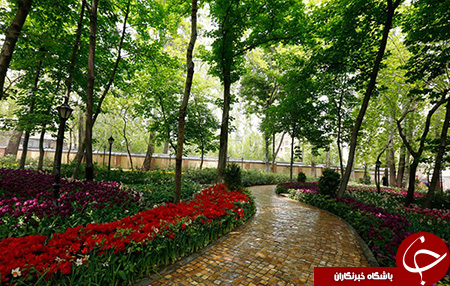 باغ&zwnj;های زیبای تهران را بیشتر بشناسید+تصاویر