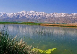 تصویب برنامه مدیریت جامع تالاب چغاخور
