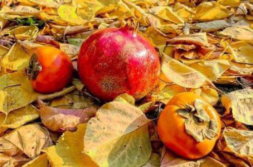 رکوردزنی خرمالو و انار در آخرین شب پاییز/ آماده باش کامل نیروهای عملیاتی برق