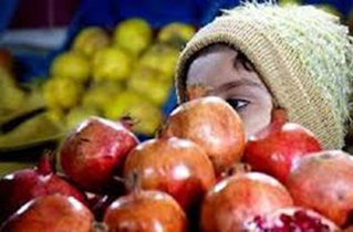 بسته‌های غذایی برای مددجویان کمیته امداد به مناسبت شب یلدا