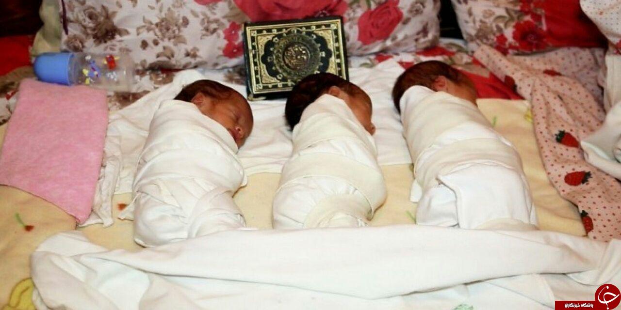 &laquo;قدس پایتخت فلسطین&raquo;؛ نام سه&zwnj; قلوی تازه متولد&zwnj;شده فلسطینی