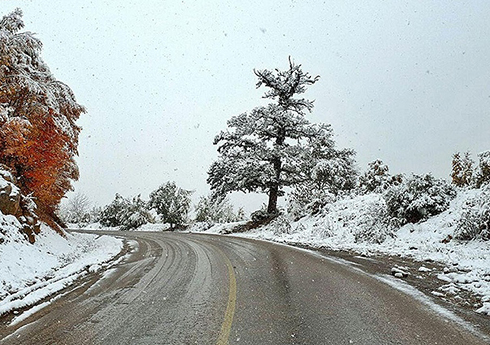 بارش برف در ارتفاعات گلستان