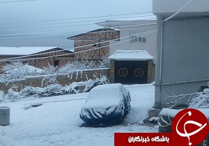 برف پاییزی هزار جریب را سفیدپوش کرد+ تصاویر