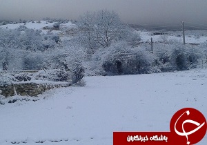 برف پاییزی هزار جریب را سفیدپوش کرد+ تصاویر