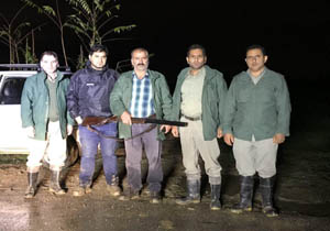 کشف یک قبضه اسلحه در آمل