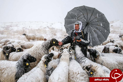 تصاویر روز: از حجوم خریداران به فروشگاه&zwnj;ها در حراج جمعه سیاه تا مراسم دعاخوانی برای طلب بارش باران