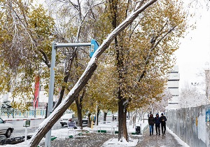 احتمال وقوع بارشهای پراکنده در کردستان/سرمای هوا ادامه دارد