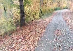 نمایی زیبا از طبیعت پاییزی در «ازنی» + فیلم