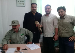 دستگیری متهمان فروش جغد درآمل