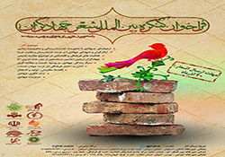 فرش قرمز صدا و سیما برای حمایت از تولید ملی + فیلم