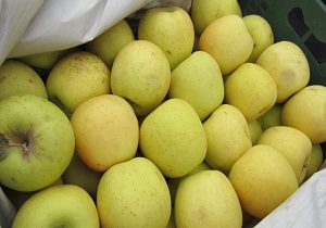 900 تن سیب و پرتقال برای شب عید ذخیره‌سازی می‌شود