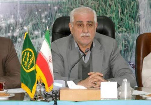 بکار گیری ۲ هزار و ۳۰۰ نفر در اجرای طرح جدید جنگلداری