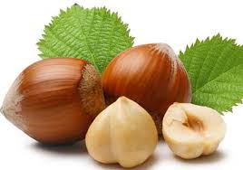 از درمان چاقی&nbsp; با این دانه آجیلی/راهکار اصلی پیشگیری از دومین بیماری شایع بشر/تقویت حافظه با روشی ساده/با این روش&zwnj;ها از قوز کردن کمر جلوگیری کنید