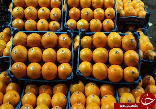 مرکبات مازندران در بن بست صادرات