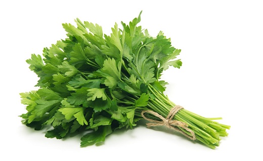 رژیم غذایی مناسب برای افراد دموی&zwnj;مزاج/تدابیر طب سنتی برای اشخاص دموی&zwnj;مزاج