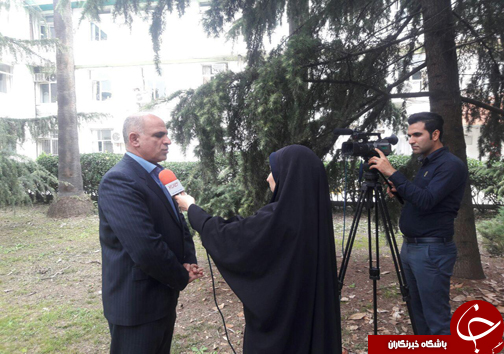 پذیرایی سرد از مهمان ناخوانده جنگل&zwnj;های شمال / رهایی شمشاد&zwnj;های آلوده به آفت شب پره با آمدن فصل سرما