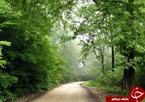 نگاهی گذرا به مهمترین رویداد&zwnj;های دوشنبه ۶ آذرماه در مازندران
