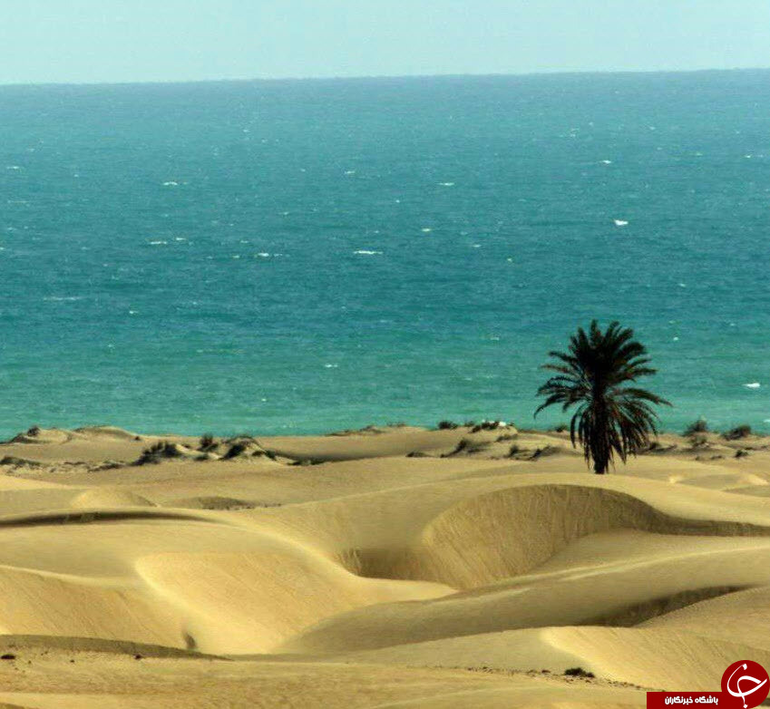 تقابل بهشت و دوزخ؛ به درک بروید!