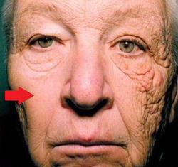 سایت 5040 هیچ منعی برای عرضه محصولات سلامت محور ندارد