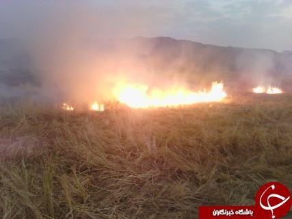 کاهش آتش زدن بقایای کشاورزی در باغملک
