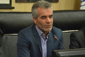 فعالیت 65 سمن در زنجان