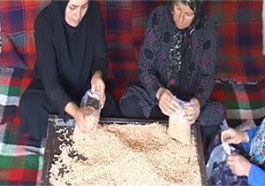 کارآفرینی زنان روستایی در لرستان + فیلم