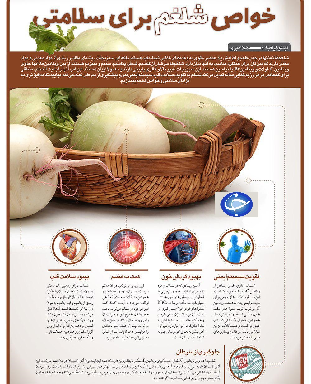 خواص شلغم در درمان کم خونی و پیشگیری از سکته قلبی+ اینفوگرافی