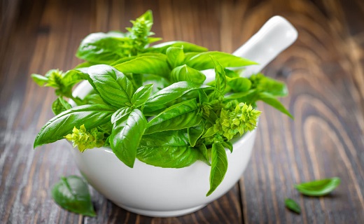 سرکوب اسهال با گیاهان دارویی/موثرترین سلاح&zwnj;های گیاهی برای مبارزه با یکی از شایع&zwnj;ترین اختلالات گوارشی