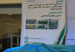 رونمایی از دستاورد پژوهشی برای تولید بادام عاری از ویروس