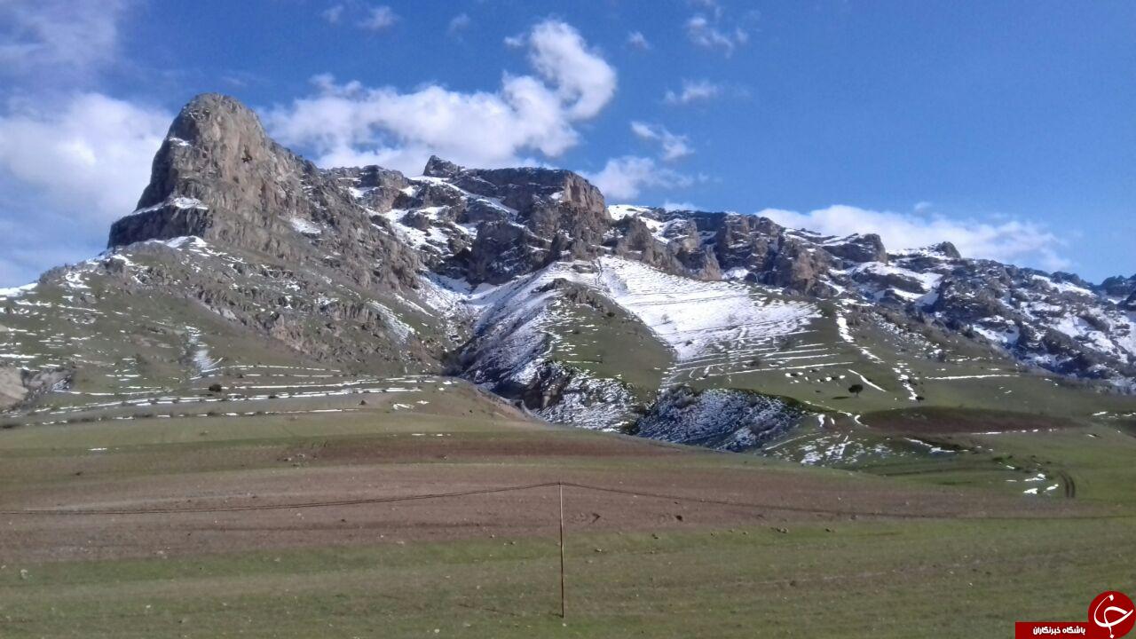طبیعت زیبای روستای &laquo;داش زیوه&raquo; + تصاویر