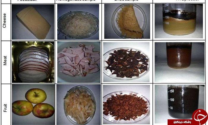 تبدیل ضایعات غذایی به سوخت&zwnj;های زیستی با روش ابداعی جدید