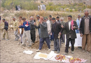 برگزاری مراسم سنتی کاشت گندم در روستای آرک