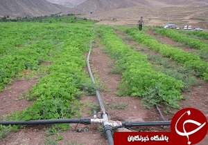 اجرای چهار هزار متر لوله گذاری برای چاه‌های پایاب در قزوین