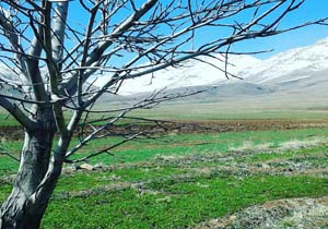 طبیعت فوق‌العاده زیبا و دیدنی حصار در قاب دوربین + تصاویر