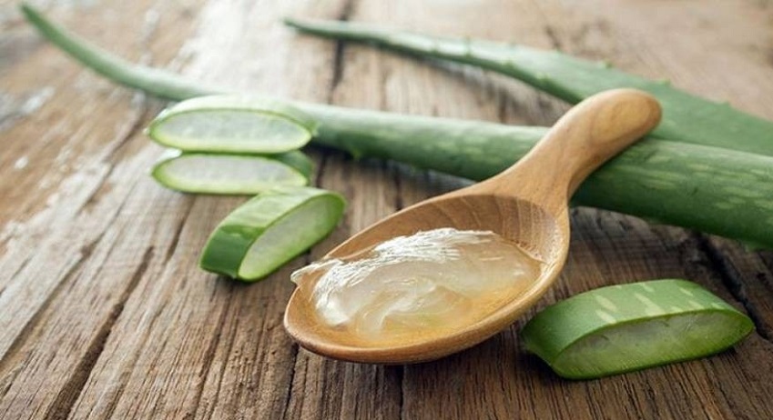 خواص آنتی اکسیدانی آلوئه&zwnj;ورا را بشناسید