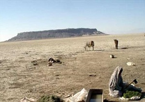 خشکسالی ۵۹ میلیارد تومان به اراضی شهرستان نیمروز خسارت وارد کرد